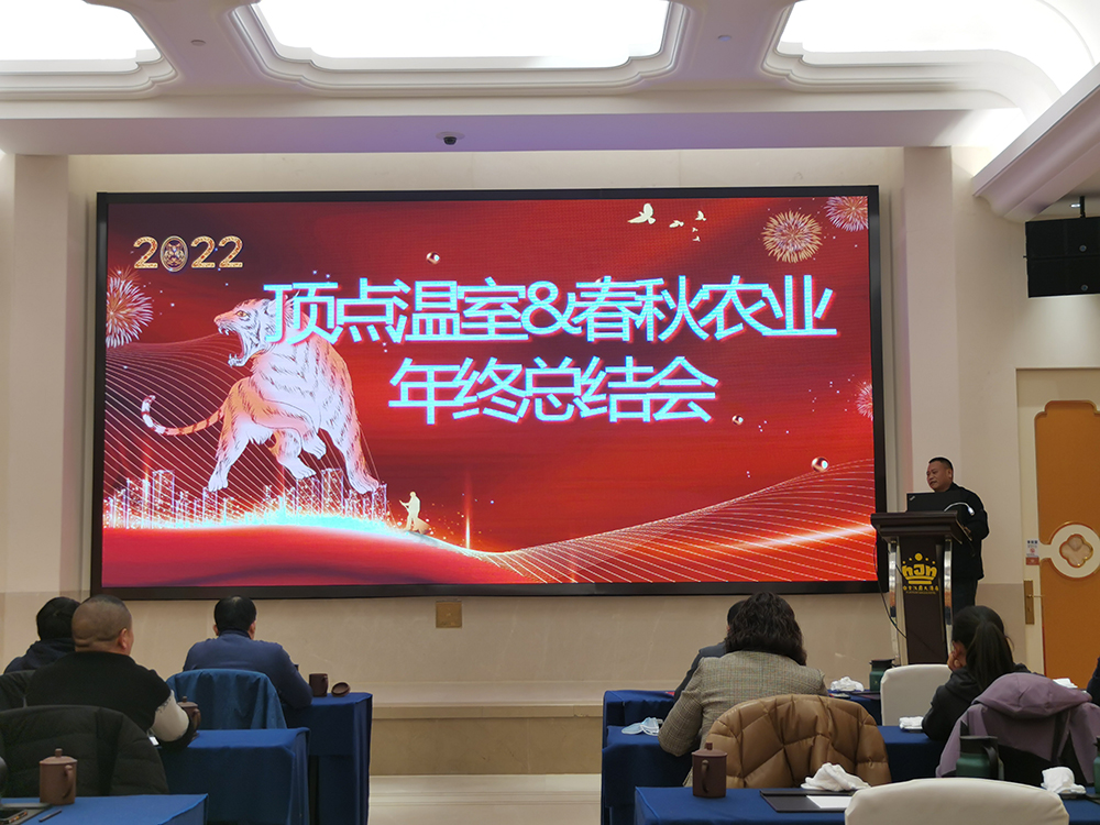 公司活动