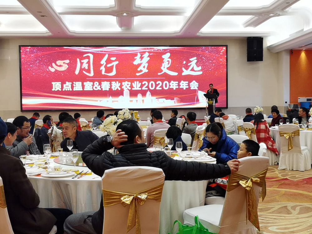 公司活动